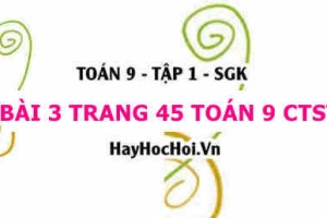 Bài 3 trang 45 Toán 9 tập 1 Chân trời sáng tạo